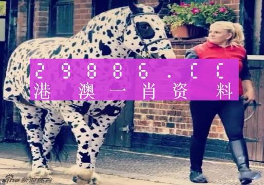 香港網(wǎng)址王中王一肖中特，探索與解析，香港網(wǎng)址王中王一肖中特，深度探索與解析