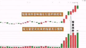 王中王一肖平碼，揭秘背后的故事與SEO策略，王中王一肖平碼背后的故事與SEO策略揭秘
