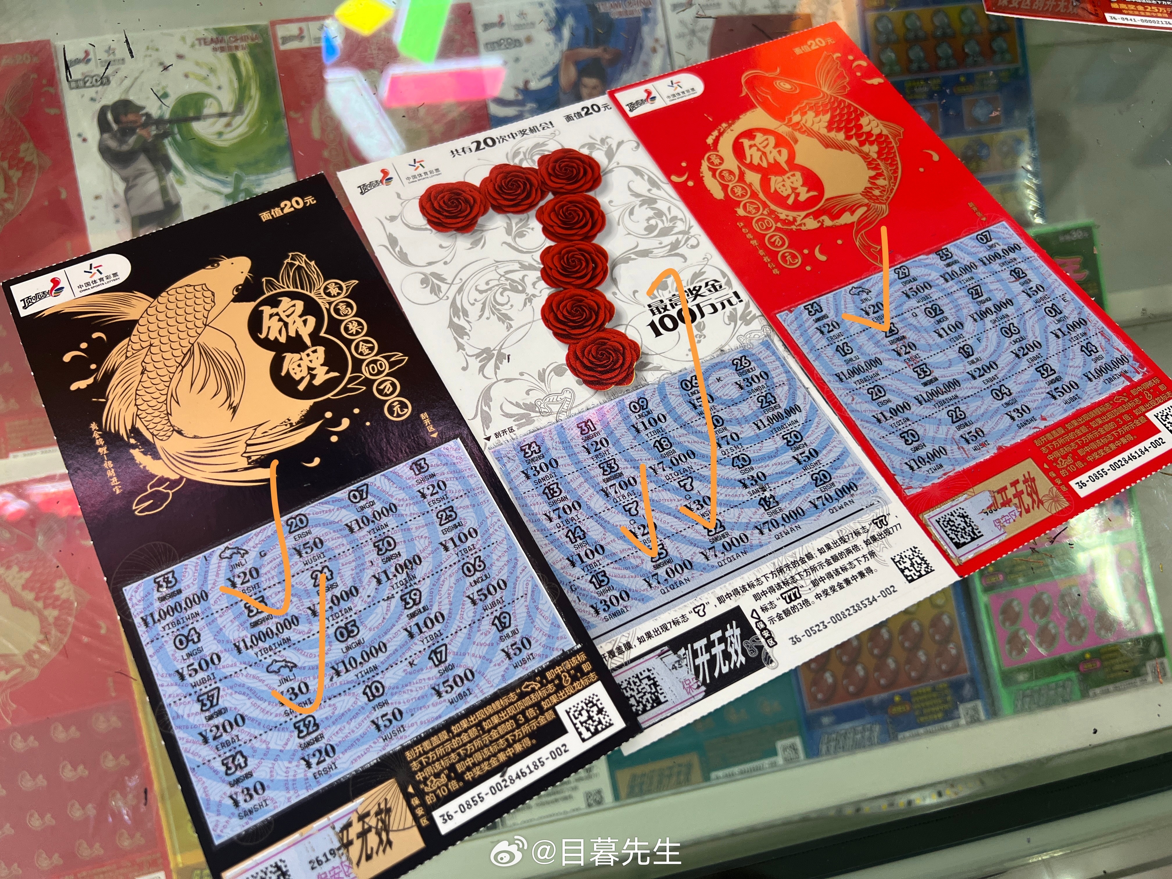 全年王中王一肖中特，深度解析與預測，全年王中王一肖深度解析與預測，揭秘特肖趨勢