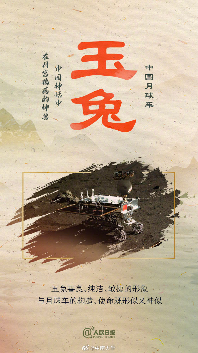 揭秘王中王平特一肖免會(huì)公開的奧秘，王中王平特一肖免公開揭秘奧秘