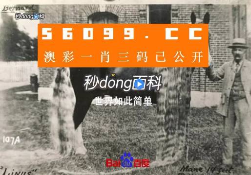 澳門王中王心水王中王，探索與解析，澳門王中王心水奧秘，深度探索與解析