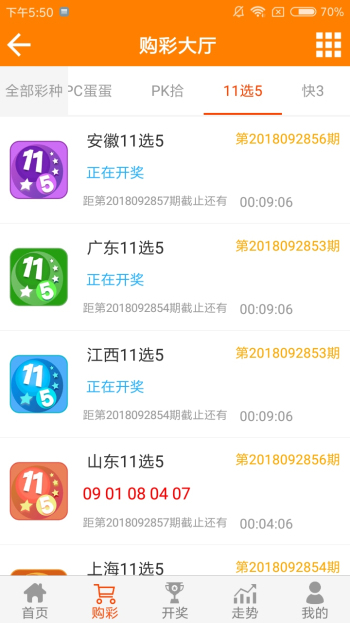 王中王黃金一肖二碼資料，深度解析與SEO優(yōu)化，王中王黃金一肖二碼資料深度解析與SEO優(yōu)化技巧