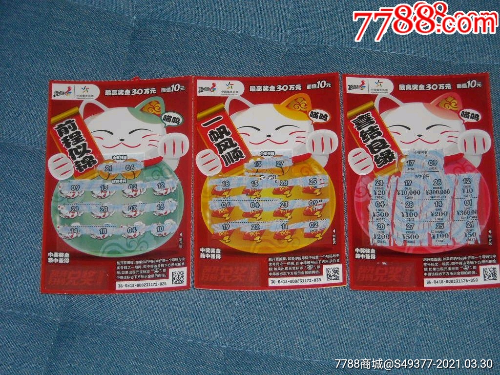 揭秘王中王資料一肖中特y招財貓，真相與秘密，揭秘王中王資料與招財貓，真相與秘密探索