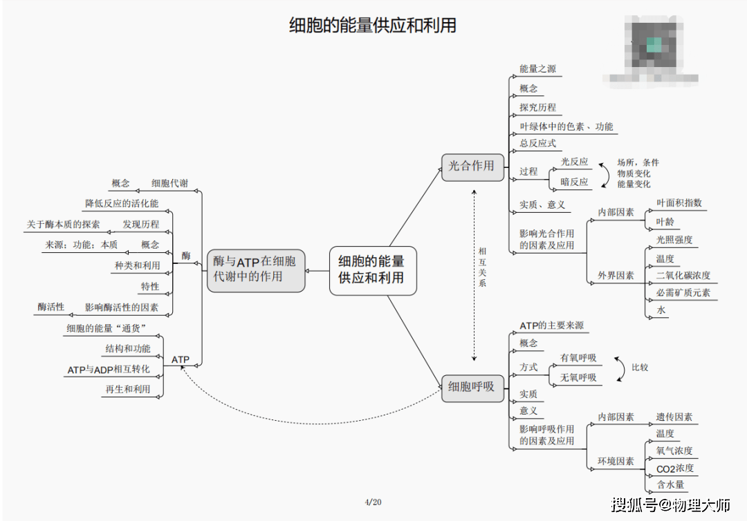 揭秘劉伯溫四肖三期內(nèi)必出一，神秘預(yù)言背后的真相，劉伯溫四肖三期預(yù)言真相揭秘，神秘預(yù)言背后的必然與偶然