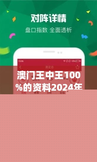 王中王網(wǎng)站一肖，探索與SEO優(yōu)化策略，王中王網(wǎng)站一肖，深度探索與SEO優(yōu)化策略實踐