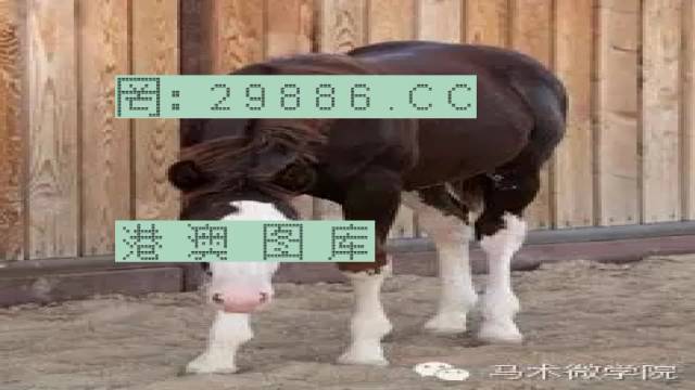 446999.一肖中特馬