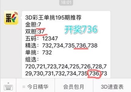 王中王一肖中特4993，深度解析與探索，王中王一肖中特4993深度解析與探索報告