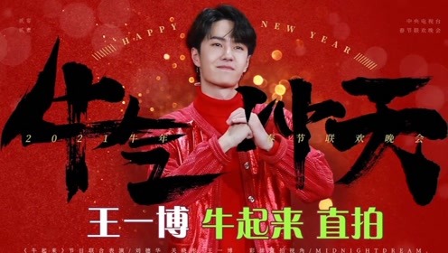 關(guān)于中王王中王一肖中特的SEO文章，中王王中王一肖中特的SEO優(yōu)化策略解析