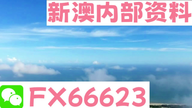 新澳內(nèi)部免費爆料，深度探索未知的秘密，新澳內(nèi)部揭秘，深度探索未知的秘密