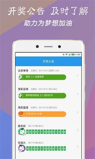 澳門今一必中一肖一碼一肖，揭秘彩票背后的秘密與策略，揭秘彩票背后的秘密與策略，澳門今一必中一肖一碼一肖探秘
