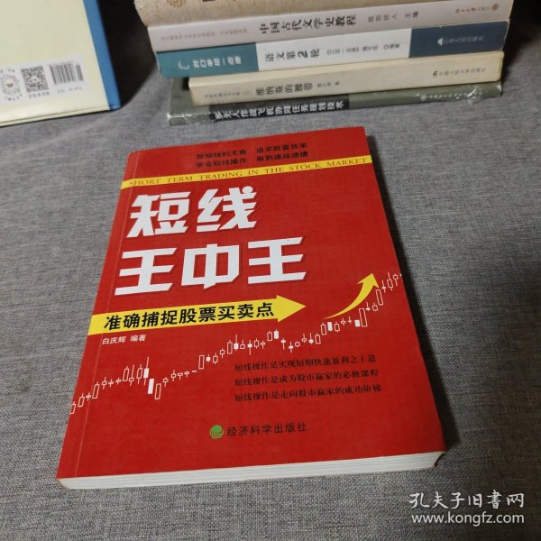 王中王平特一肖中的奧秘與探索，王中王平特一肖的奧秘與探索之旅