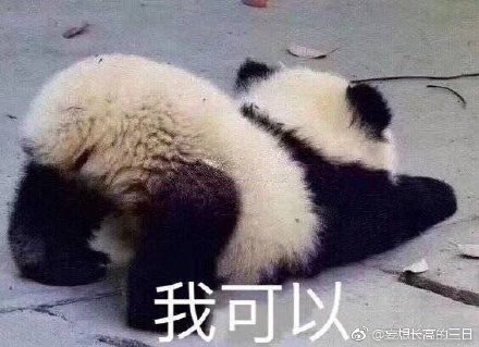 澳門(mén)精準(zhǔn)四不像最新正版，揭秘與探索，澳門(mén)精準(zhǔn)四不像揭秘與探索最新正版資訊