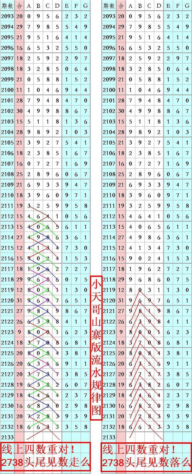 王中王精準(zhǔn)六肖6碼資料，探索精準(zhǔn)預(yù)測的魅力，王中王精準(zhǔn)六肖6碼資料，揭秘精準(zhǔn)預(yù)測的魅力