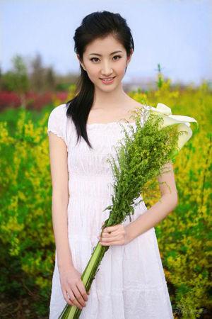新澳門(mén)生肖走勢(shì)圖精準(zhǔn)版，解讀與SEO策略，新澳門(mén)生肖走勢(shì)圖精準(zhǔn)解讀與SEO策略揭秘