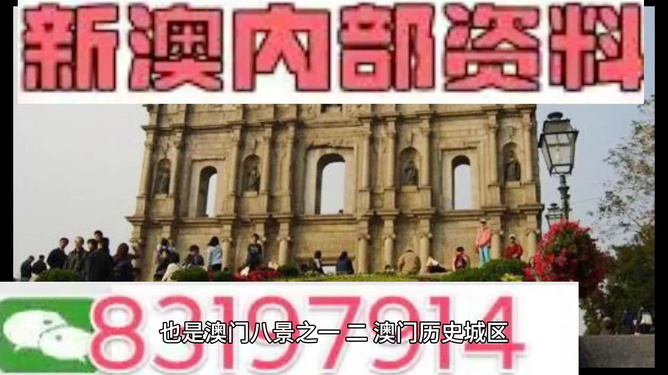 今晚澳門買什么最好？全方位解讀帶你走向勝利之路，澳門今晚買什么最佳？全方位指南引領你走向勝利之路