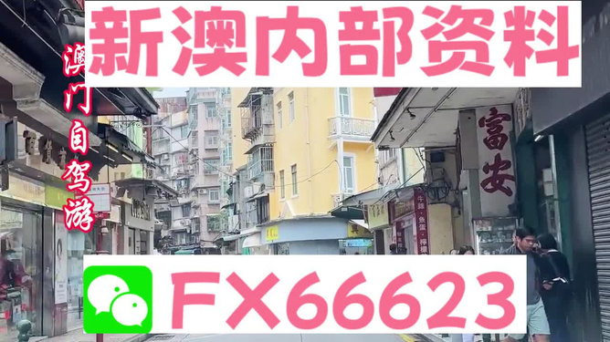新澳精準(zhǔn)資料免費(fèi)提供，一站式獲取優(yōu)質(zhì)信息資源的指南，新澳精準(zhǔn)資料免費(fèi)獲取，一站式優(yōu)質(zhì)信息資源指南
