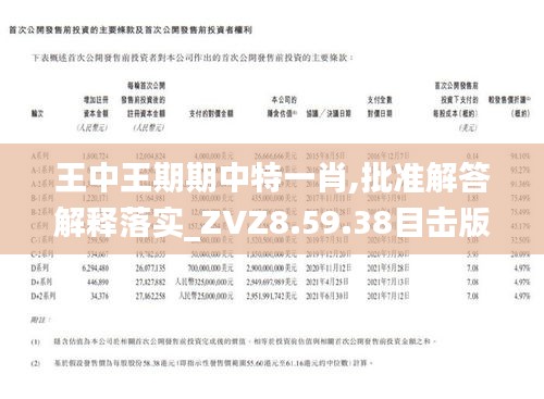 王中王一肖期期中，揭秘背后的秘密與策略，揭秘王中王一肖期期中的秘密策略與成功之道