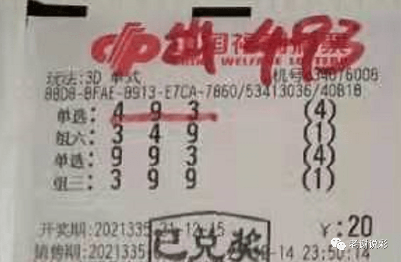 新奧門彩天天開獎資料一網(wǎng)羅萬象，揭秘彩票奧秘，揭秘彩票奧秘，新奧門彩天天開獎資料一網(wǎng)羅萬象