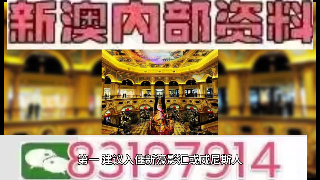 澳門(mén)王中王一肖中特馬的奧秘與探索，澳門(mén)王中王一肖中特馬的奧秘探索之旅