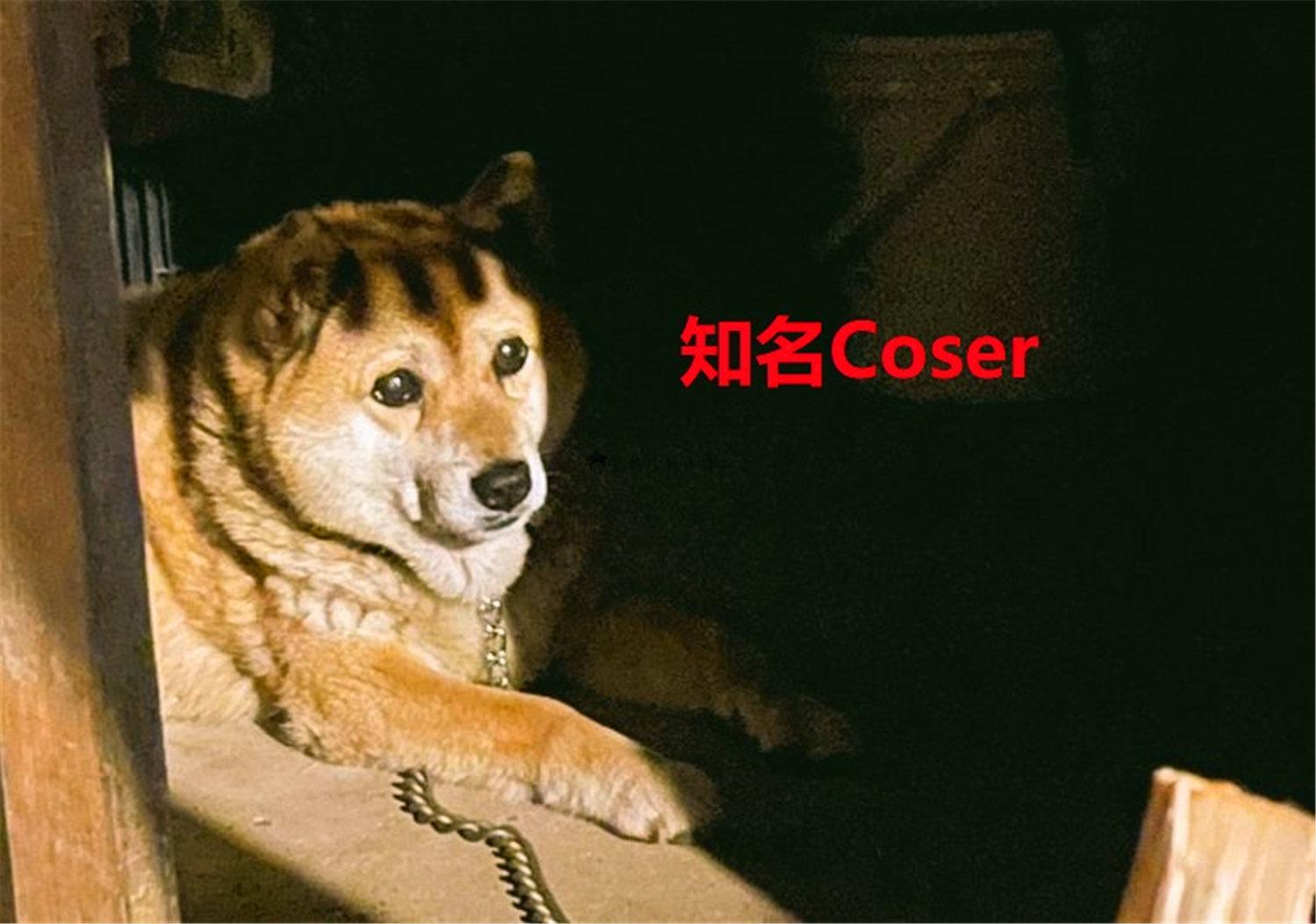 豬狗同行王中王，猜一肖，深度解析與SEO優(yōu)化，豬狗同行王中王猜謎解析與SEO優(yōu)化技巧，深度解析揭秘生肖之謎