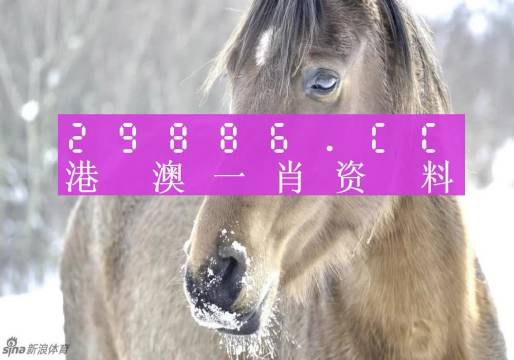 揭秘最準一肖一碼，探尋神秘的生肖預測奧秘，揭秘生肖預測真相，最準一肖一碼探尋記