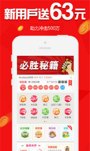 王中王欲錢請猜一肖，揭秘生肖之謎與SEO策略，揭秘生肖之謎與SEO策略，王中王欲錢請猜一肖的奧秘