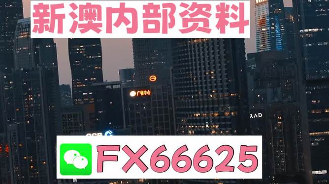 澳門跑狗，探索與解析，澳門跑狗，探索與解析之道