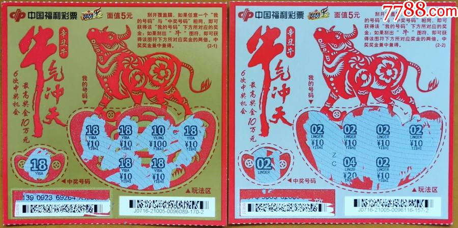 王中王19期指一生肖——探尋背后的奧秘與意義，王中王19期指一生肖，背后的奧秘與意義探尋