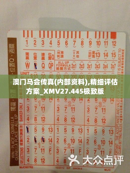 馬會傳真正版，探索正版馬會文化的魅力與價(jià)值，正版馬會文化的魅力與價(jià)值探索