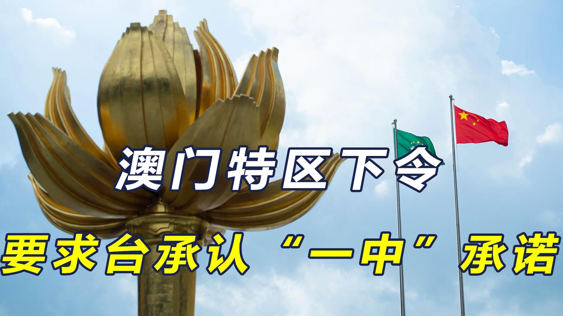 澳門一碼一肖一特一中直播，探索與體驗(yàn)獨(dú)特的娛樂盛宴，澳門一碼一肖直播，獨(dú)特娛樂盛宴的探索與體驗(yàn)