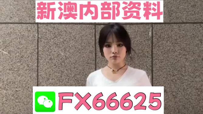澳門正版資料大全完整版，探索與揭秘2025年澳門正版資料的世界，澳門正版資料大全揭秘，探索未來至2025年的奧秘世界