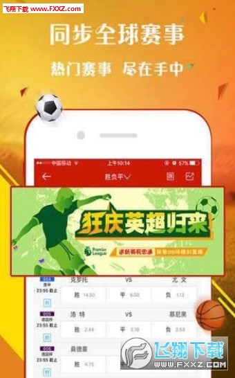 王中王一肖，探尋背后的故事與影響力（2019年），王中王一肖，背后的故事與影響力揭秘（2019年）