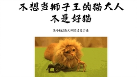 探尋背后的秘密與奧秘