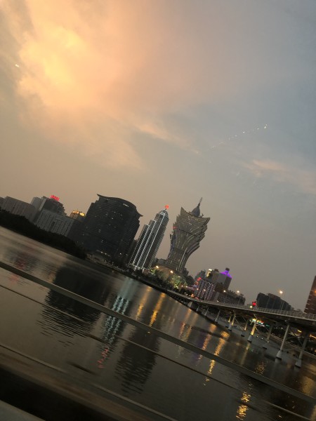 澳門今晚必開一肖一特，深度解析與預測，澳門今晚生肖特碼深度解析與預測，一肖一特必開趨勢探討