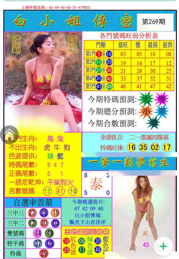 揭秘白小姐與王中王平持一肖的神秘面紗，白小姐與王中王，揭秘神秘生肖預(yù)測(cè)面紗