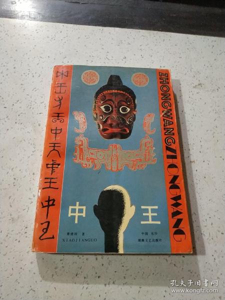 王中王資料與肖中特，深度解析，王中王資料與肖中特深度剖析