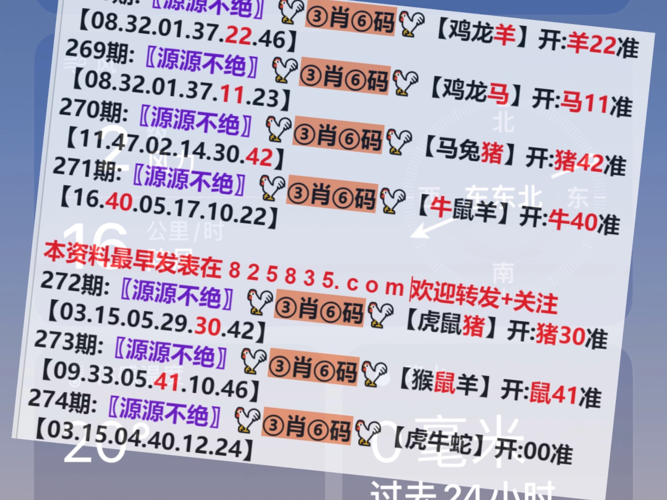 澳門一肖一碼開獎結(jié)果，揭秘彩票背后的秘密，澳門彩票開獎結(jié)果揭秘，一肖一碼背后的秘密