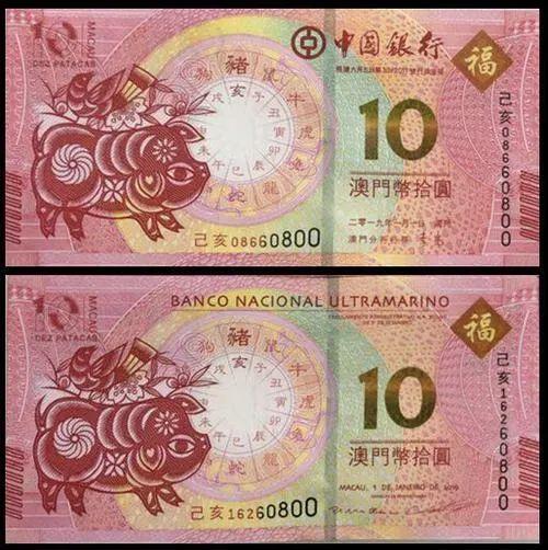 澳門天天彩期期精準十二生肖預測——揭秘彩票背后的秘密，澳門天天彩期期精準十二生肖預測，彩票背后的秘密大揭秘