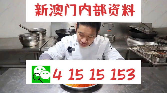 管家婆一肖資料大全，深度解析與探索，管家婆一肖資料深度解析與探索大全