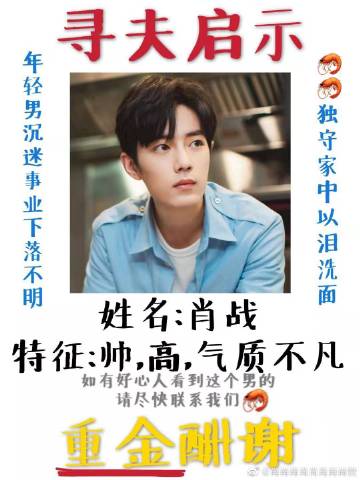 一肖一碼一一肖一子善，探尋命運(yùn)密碼與智慧之光的完美結(jié)合，命運(yùn)密碼與智慧之光，一肖一碼一一肖一子善的探尋