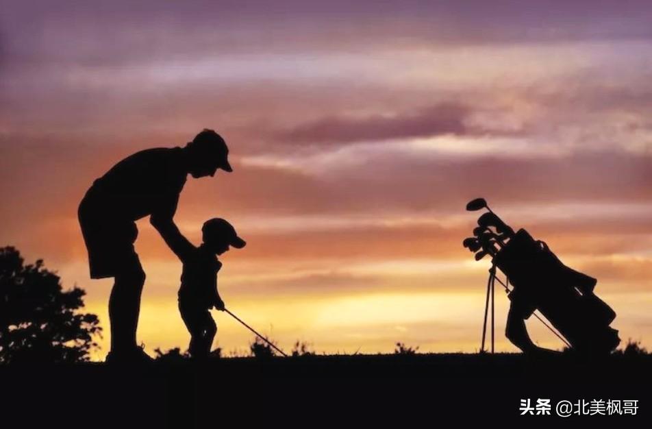 森林高手王中王與神秘生肖——深度解讀背后的故事與秘密，森林高手王中王與神秘生肖，故事背后的深度解讀與秘密探尋