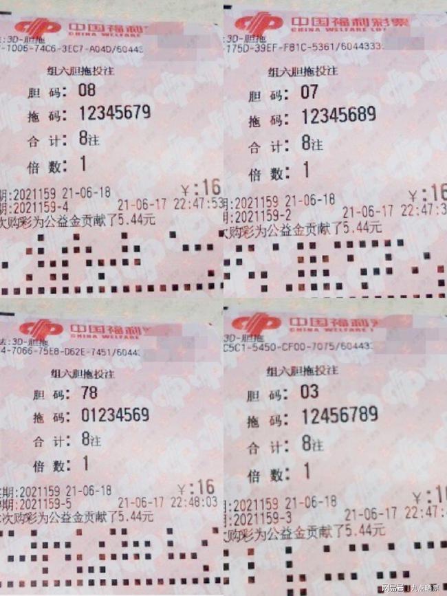 王中王四肖精選一肖新聞，揭秘背后的故事與趨勢，王中王四肖精選揭秘，背后的故事與趨勢聚焦一肖新聞