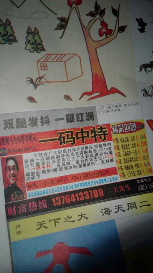 欲錢詩猜一肖——探尋王中王的奧秘，探尋王中王的奧秘，欲錢詩猜一肖