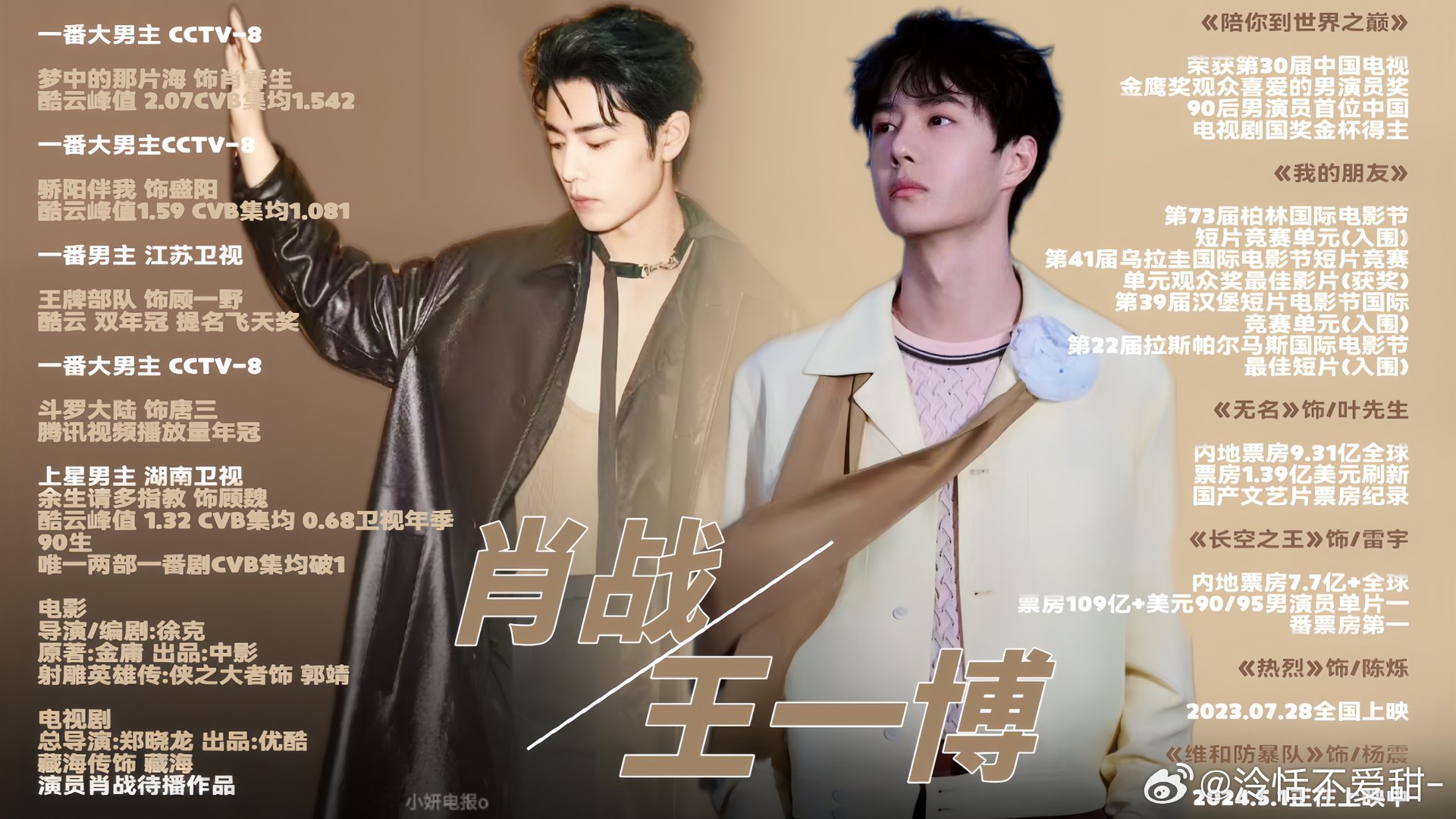 王中王一肖中特全年資料解析與SEO優(yōu)化策略，王中王一肖中特全年資料解析與SEO策略詳解
