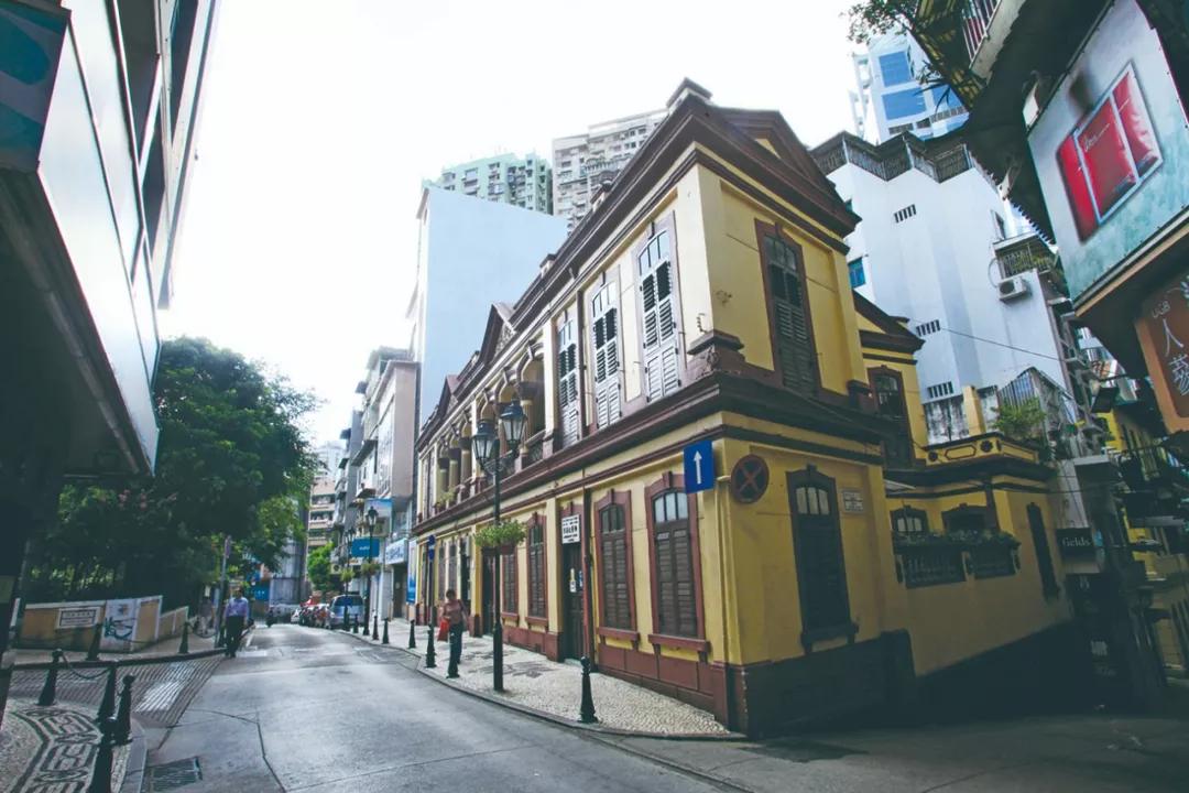 澳門今晚必開一肖，揭秘生肖運勢與預(yù)測邏輯，澳門今晚生肖預(yù)測揭秘，生肖運勢與預(yù)測邏輯分析