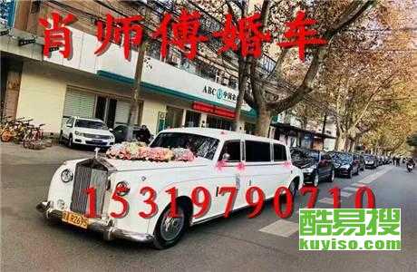 王中王車奪平特一肖免費——深度解析與探索，王中王車奪平特一肖，深度解析與免費探索
