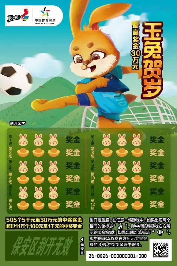 王中王一肖中特兔費(fèi)，探索關(guān)鍵詞背后的奧秘，探索關(guān)鍵詞王中王一肖中特兔費(fèi)背后的奧秘