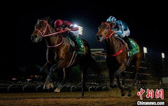 香港王中王一肖中特馬，探索背后的奧秘，香港王中王一肖中特馬背后的奧秘探索