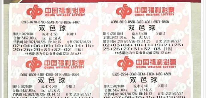 王中王084期指一生肖，解讀背后的秘密與生肖運(yùn)勢(shì)分析，王中王084期生肖揭秘，秘密解讀與運(yùn)勢(shì)展望