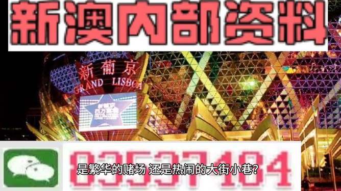 新澳門精準(zhǔn)資料大全與管家婆料，探索SEO的奧秘，探索SEO奧秘，新澳門精準(zhǔn)資料大全與管家婆料的秘密解析